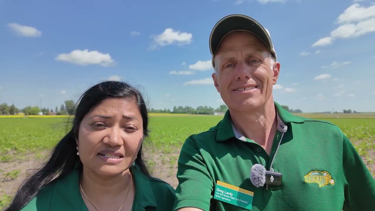 Boots on the Ground - Anitha Chirumamilla Cropping Systems Specialist Langdon REC