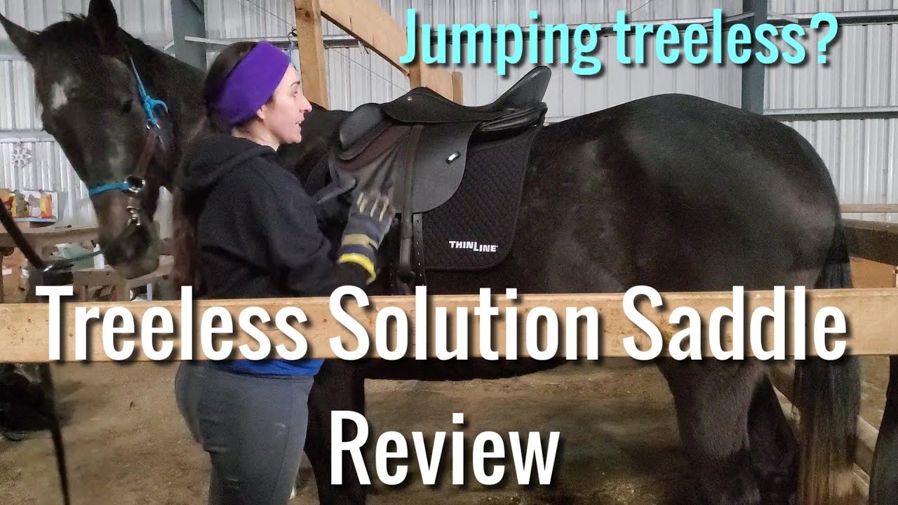 Treeless Solution Saddle Review- is it really good for jumping?