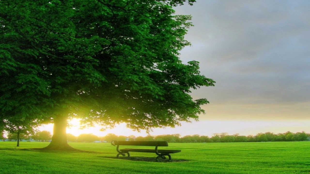 Thavikkuthu thayangguthu karaoke for male singers by R. Maya Padma