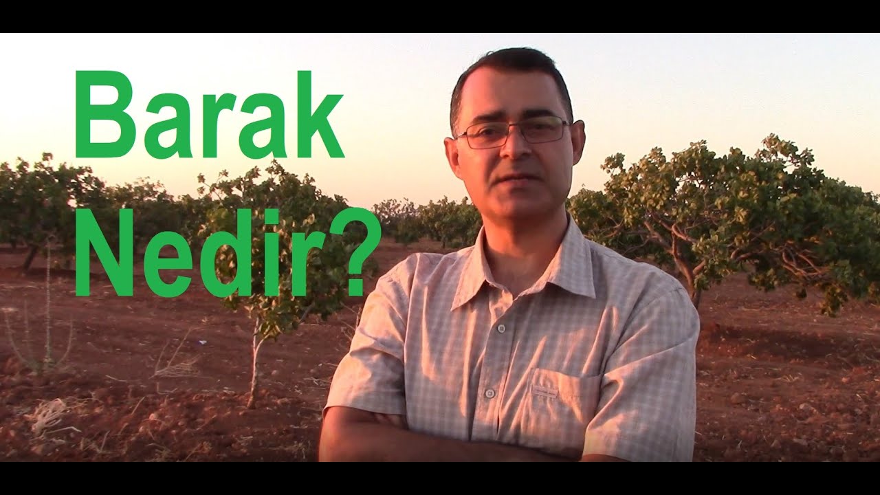 Barak Nedir ve Neresidir?