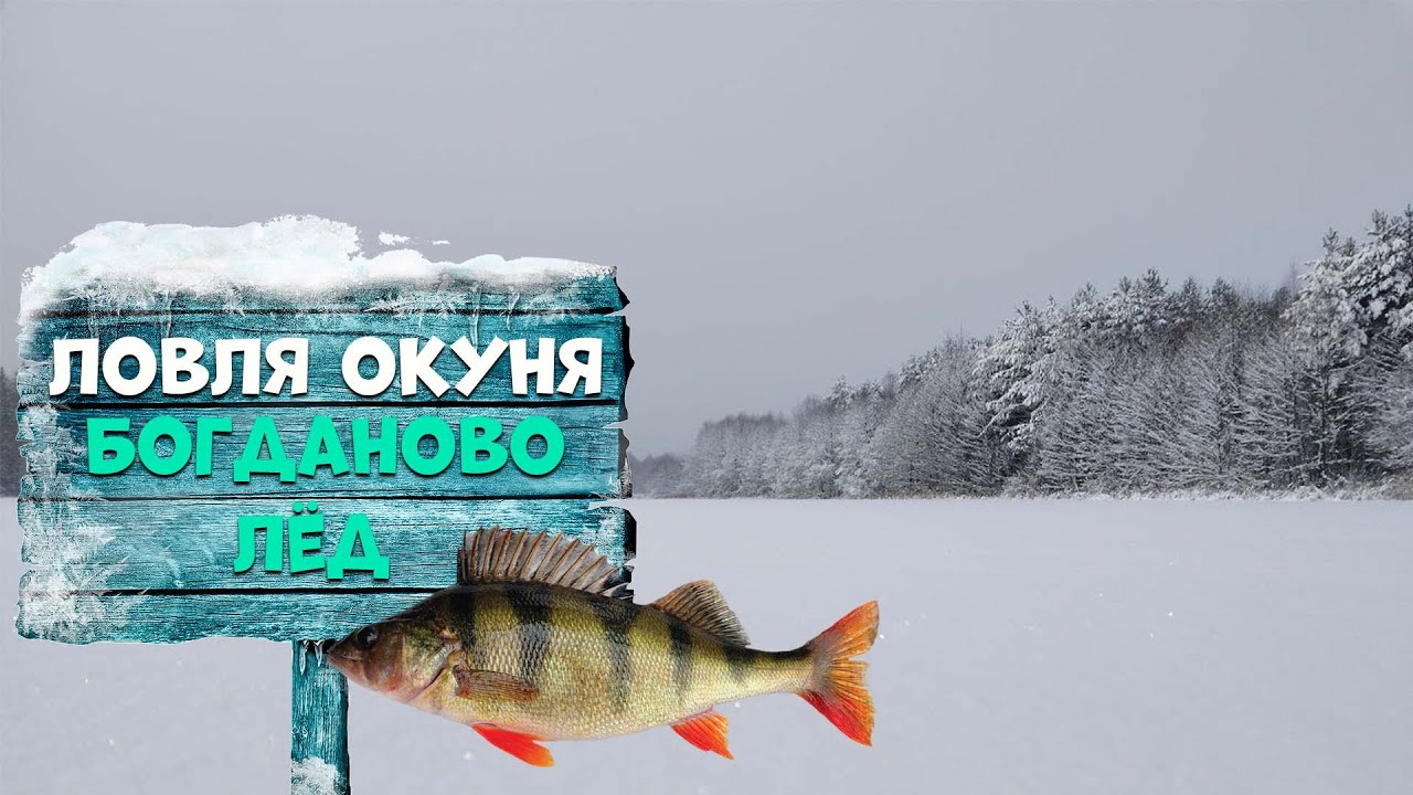 Ловля окуня со льда на БЛЕСНУ | Богданово | Китайский бур