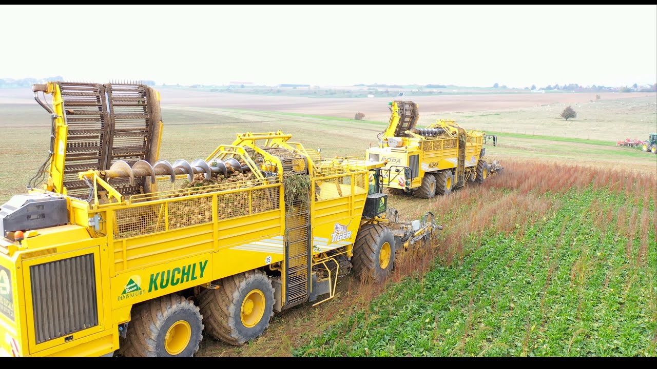 ARRACHAGE BETTERAVES 2022 | ROPA X2 | ETA KUCHLY | JOHN DEERE