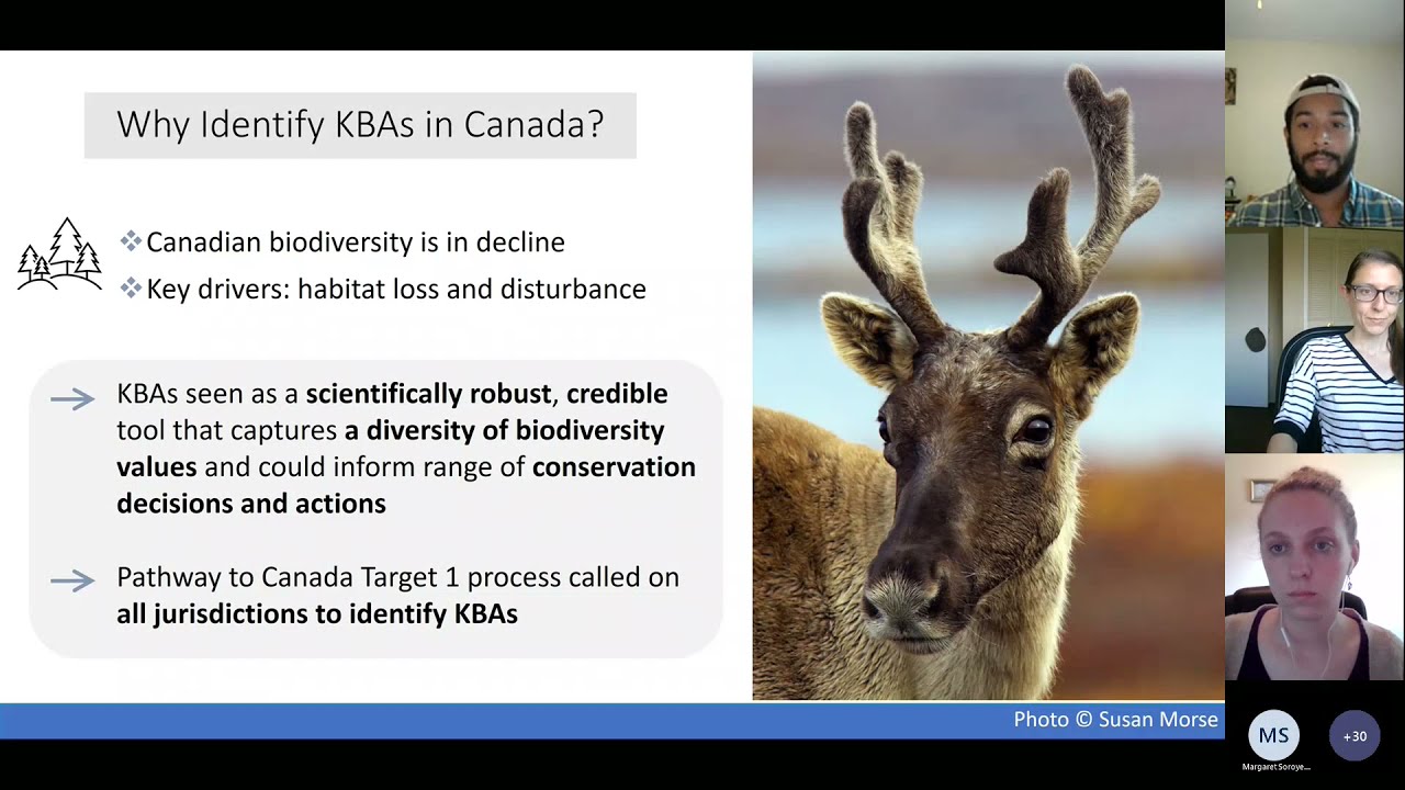 Key Biodiversity Areas in Ontario: Progress and Next Steps
