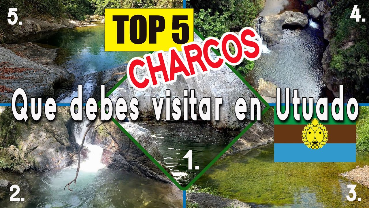 Los TOP 5 Rios que debes visitar en Utuado Puerto Rico