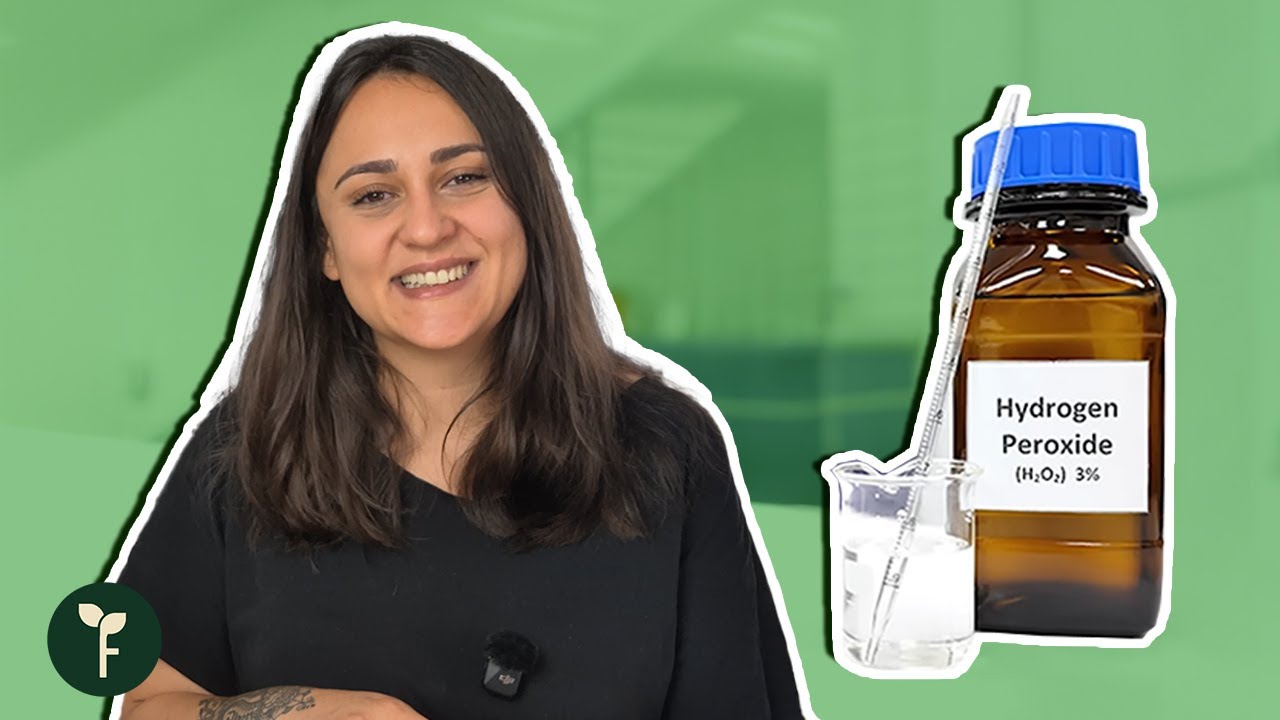 %3 Food Grade Hidrojen Peroksit Kullanımı | Mikro Yeşillik, Topraksız ve Geleneksel Tarım