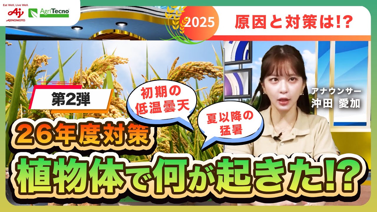 【第2弾｜水稲栽培2025レビュー】昨年度作況を踏まえた26年度対策とは 育苗〜収穫まで9ステージで検証