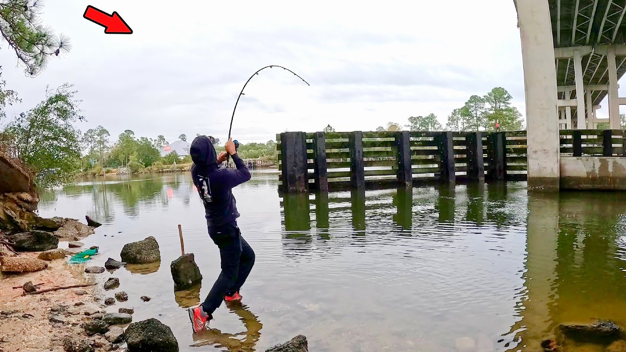 Walked Under a Giant Bridge and Caught This! *Catch & Cook*