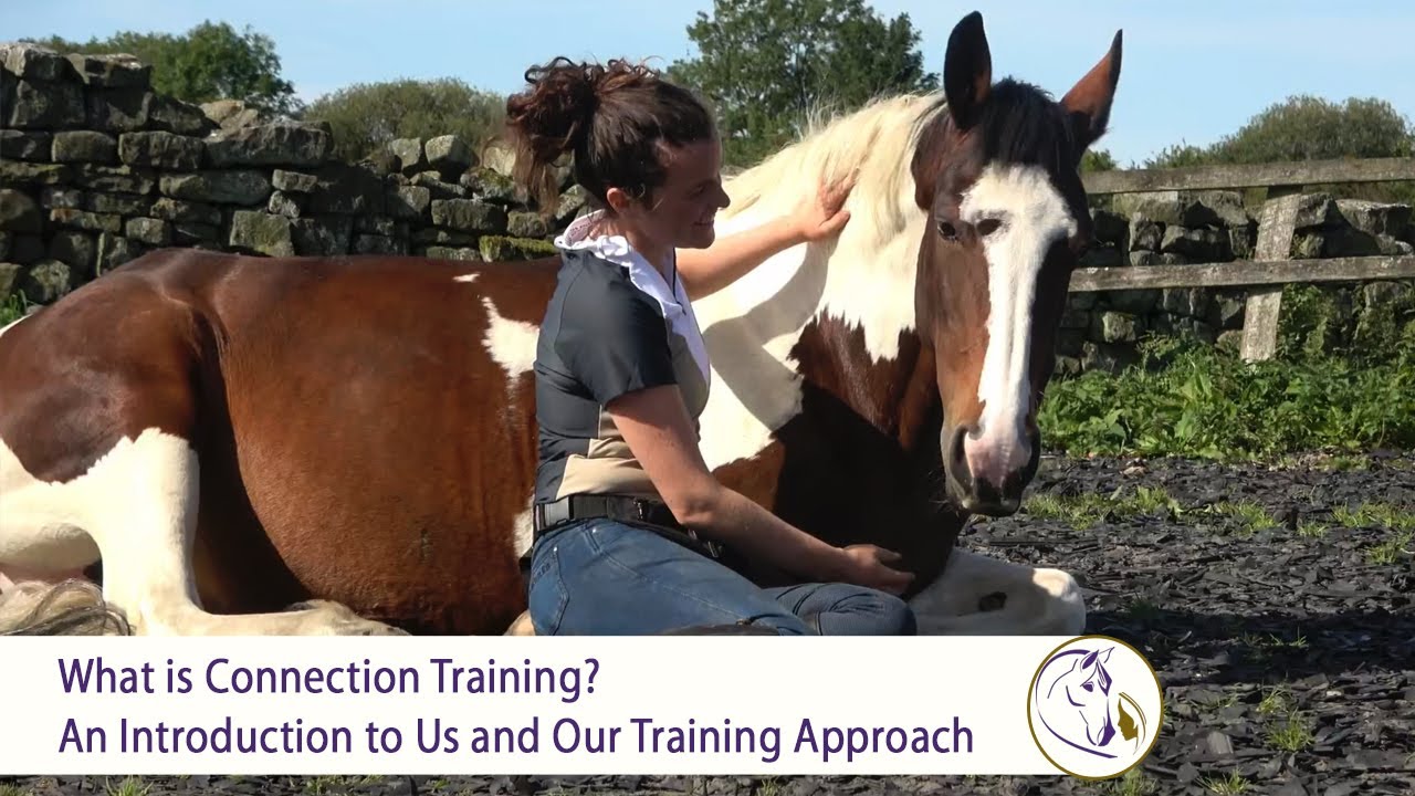 What is Connection Training? An Intro to Us and Our Training Approach