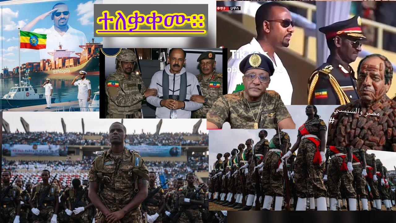እጅ ከፍንጅ ተይዘው ተለቃቅመው ገቡ ይቀጥላል።ሻብያና ህውሃት ደም እንባ አለቀሱ እጃቸውን እንዲሰጡ ተጠይቀዋል።