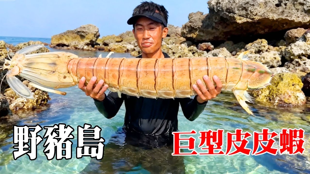 印尼野豬島生存！淡水資源緊缺，突然下雨真是好消息，還抓到了巨型皮皮蝦！【探索兄弟】