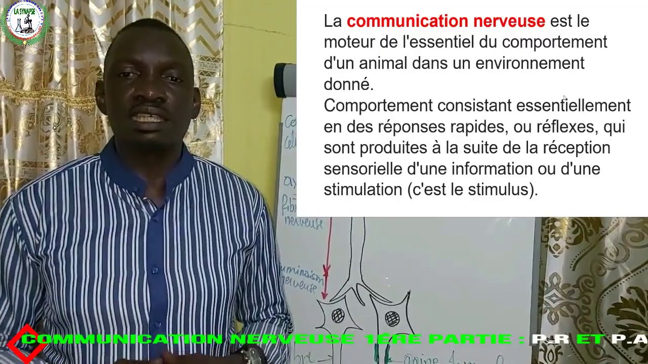 N°22 LA COMMUNICATION NERVEUSE 1ére PARTIE  PR ert PA