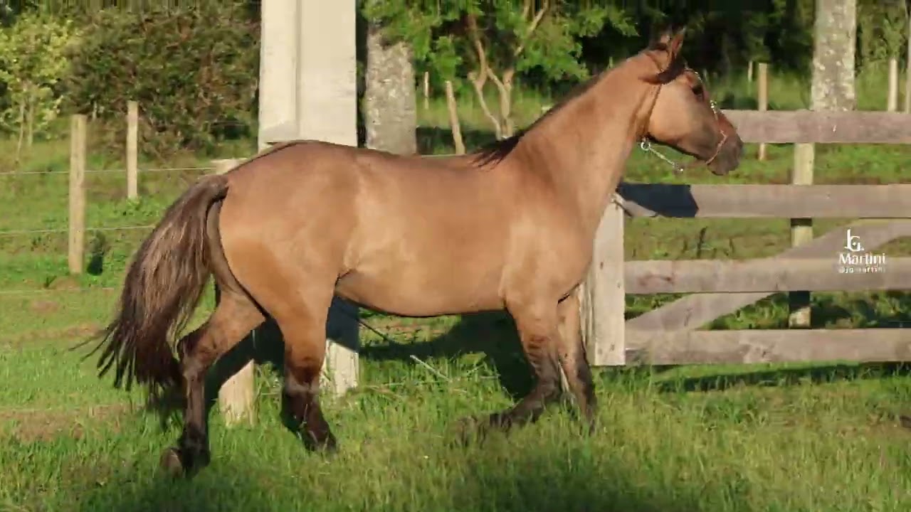 Lote 20   LA PIÑEDA ONIX