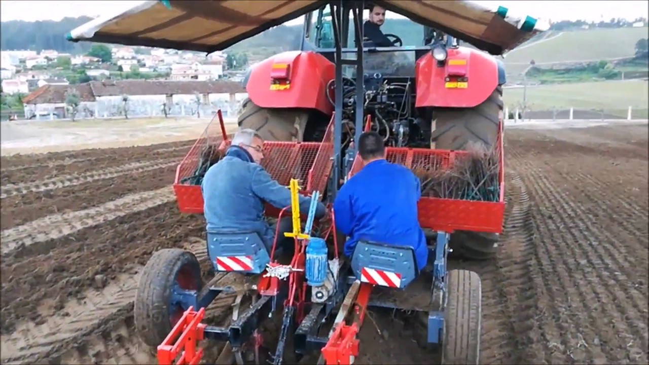 Plantação de vinha GPS 2018, viña, vigne, vineyard Portugal