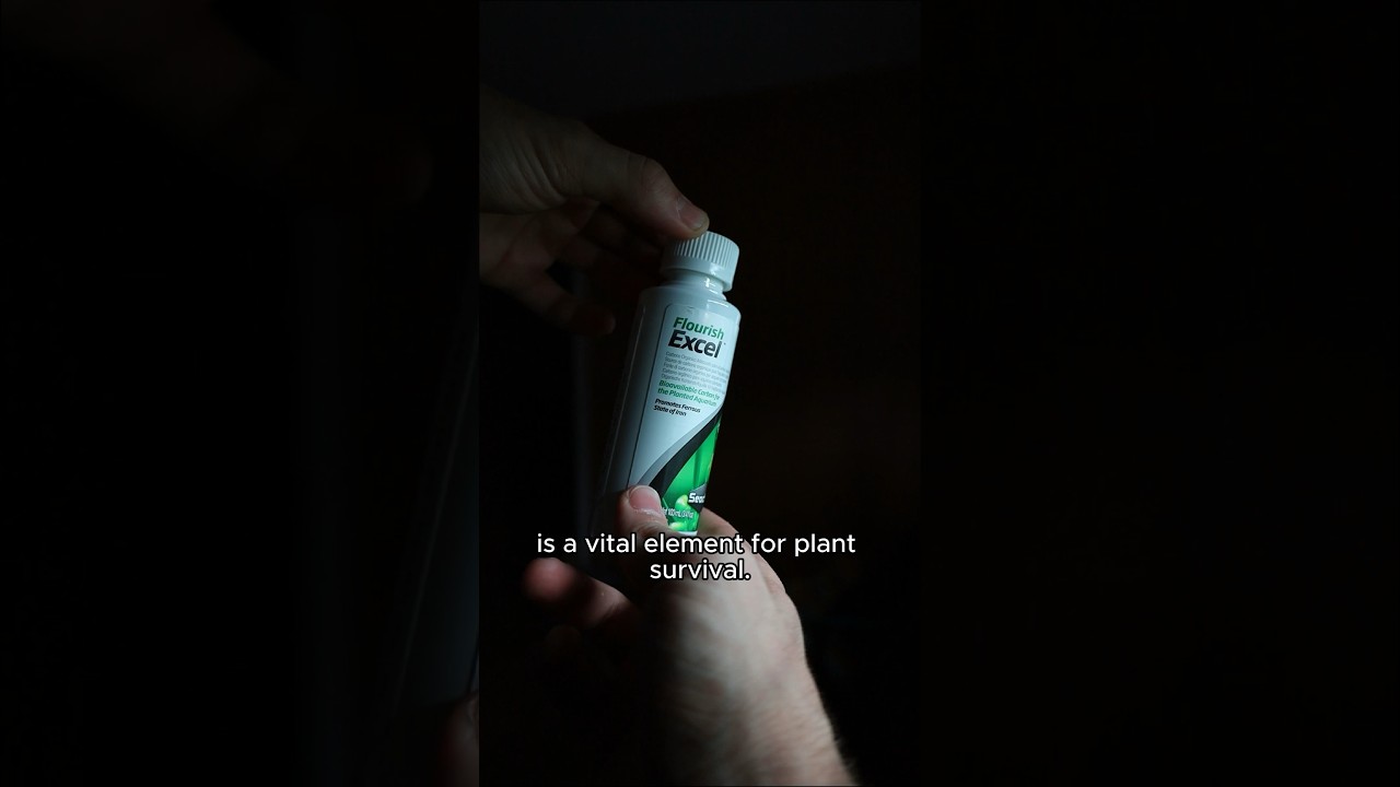 Правильно ли вы используете Liquid Carbon?