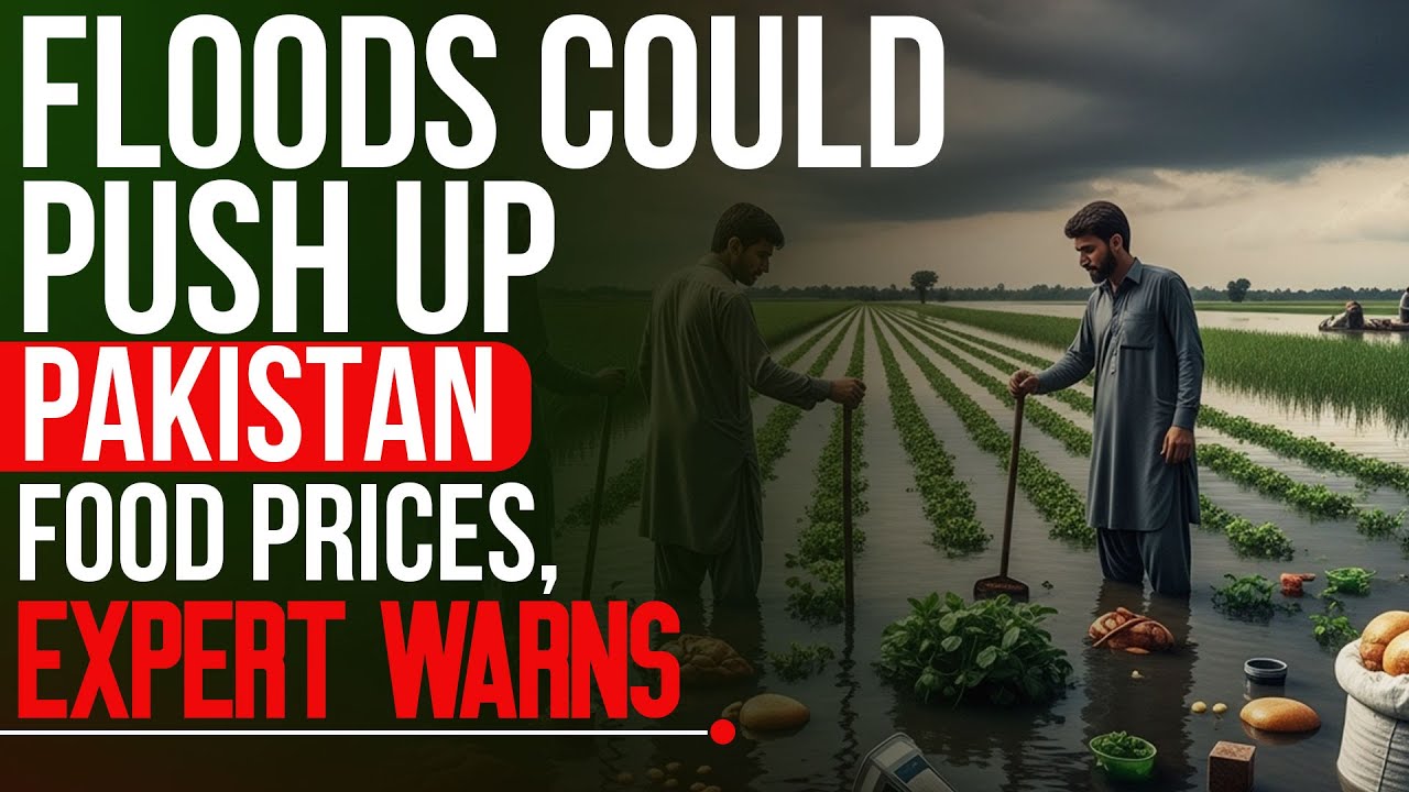 Pakistan Food Prices May Rise Due to Floods Experts Warn