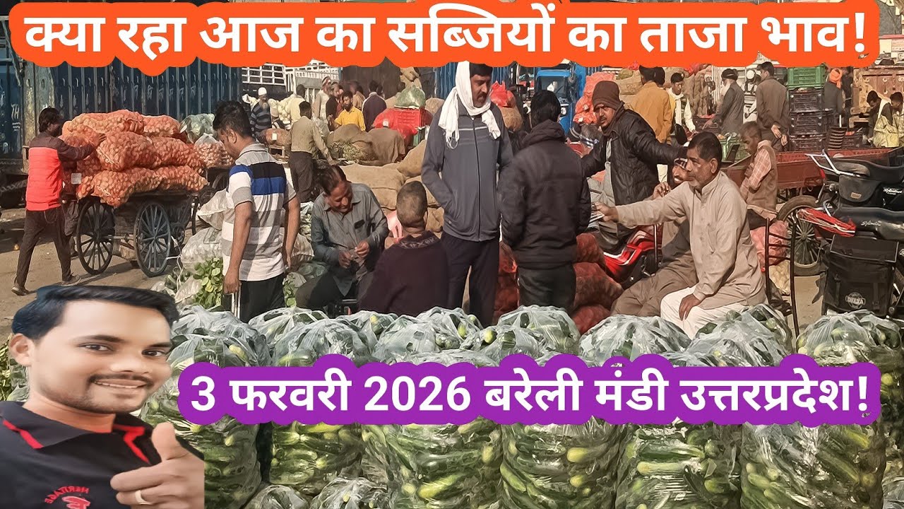 March 3, 2026 आज का सब्जी रेट बरेली मंडी || Holsale sabji rate || Bareilly Mandi ||