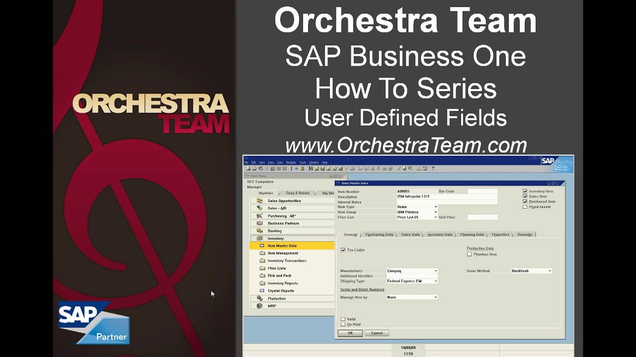SAP Business One - How To - UDF's