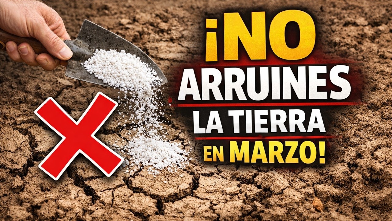 El Error FATAL que Arruina tu Tierra en Marzo (Y el Secreto para un Huerto Perfecto)