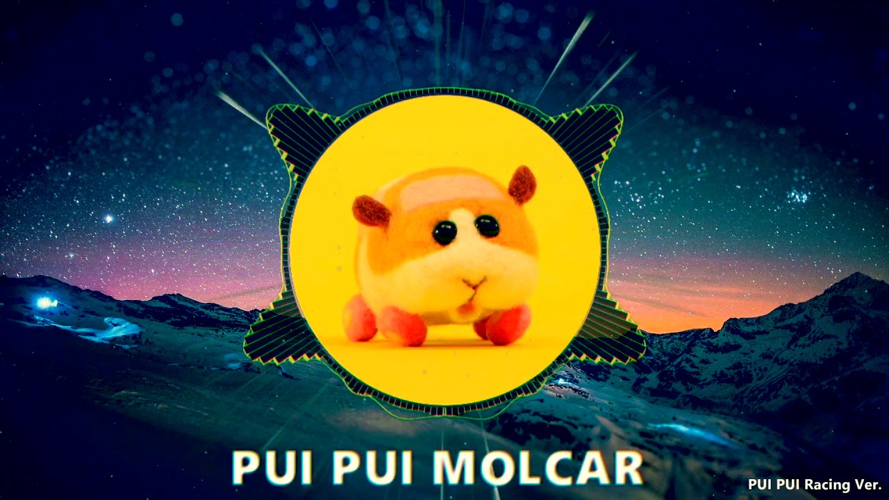【Electro】PUI PUI モルカー Theme (PUI PUI Racing Remix)【PUI PUI Molcar】