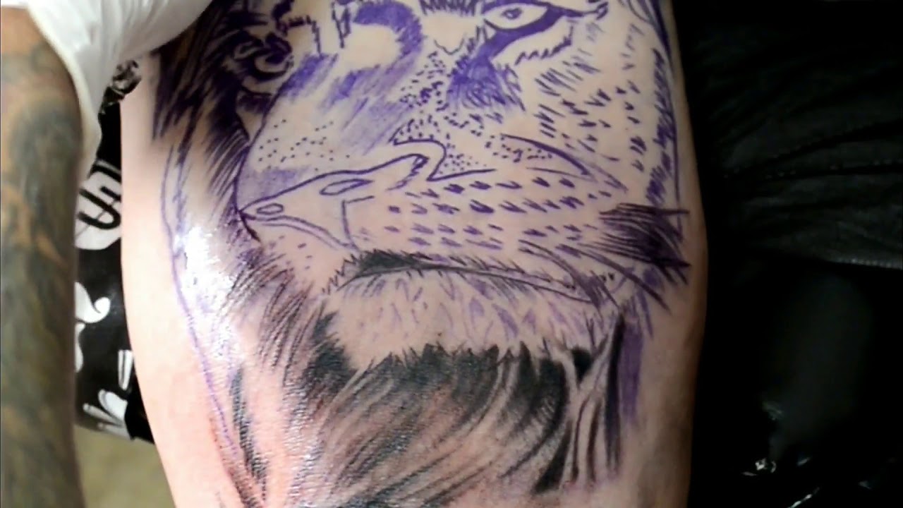 dica de tattoo para iniciante realismo preto cinza leão