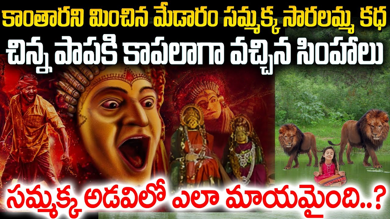సమ్మక్క సారలమ్మ కధ | చిన్న పాపకి కాపలాగా వచ్చిన సింహాలు సమ్మక్క అడవిలో ఎలా మాయమైంది..? #vov | MVW