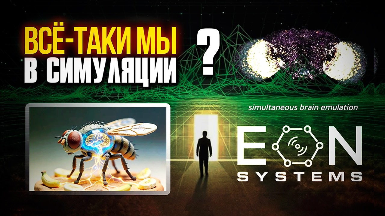 КАК МАЛЕНЬКАЯ МУХА ДОКАЗАЛА ЧТО МЫ В МАТРИЦЕ