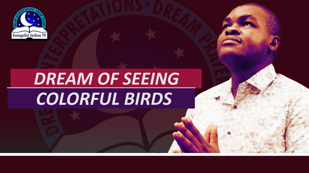 Dream About Seeing Colourful Birds - Spiritual Meaning from Evangelist Joshua