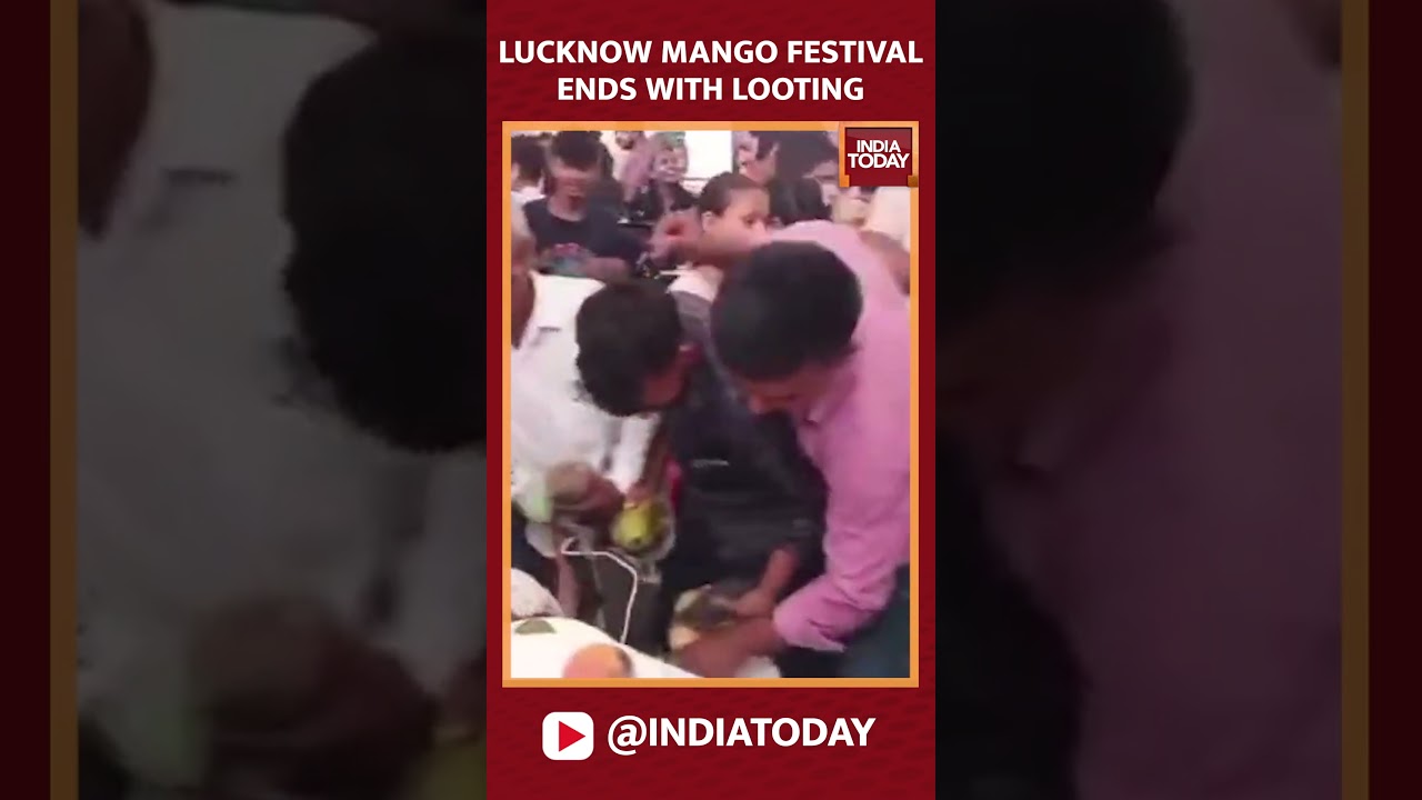 Lucknow Mango Festival Ends In Chaos And Looting | Video Goes Viral