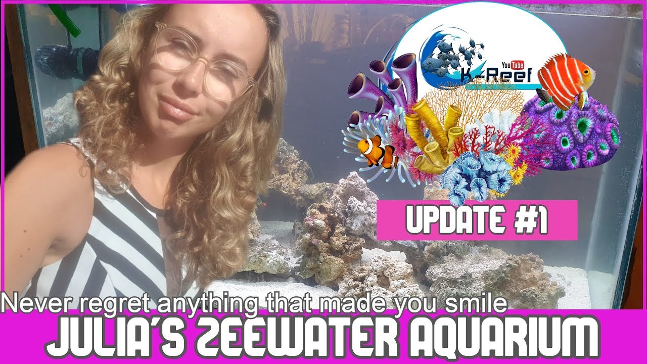 Julia's Reeftank Update1/ With English Subtitles