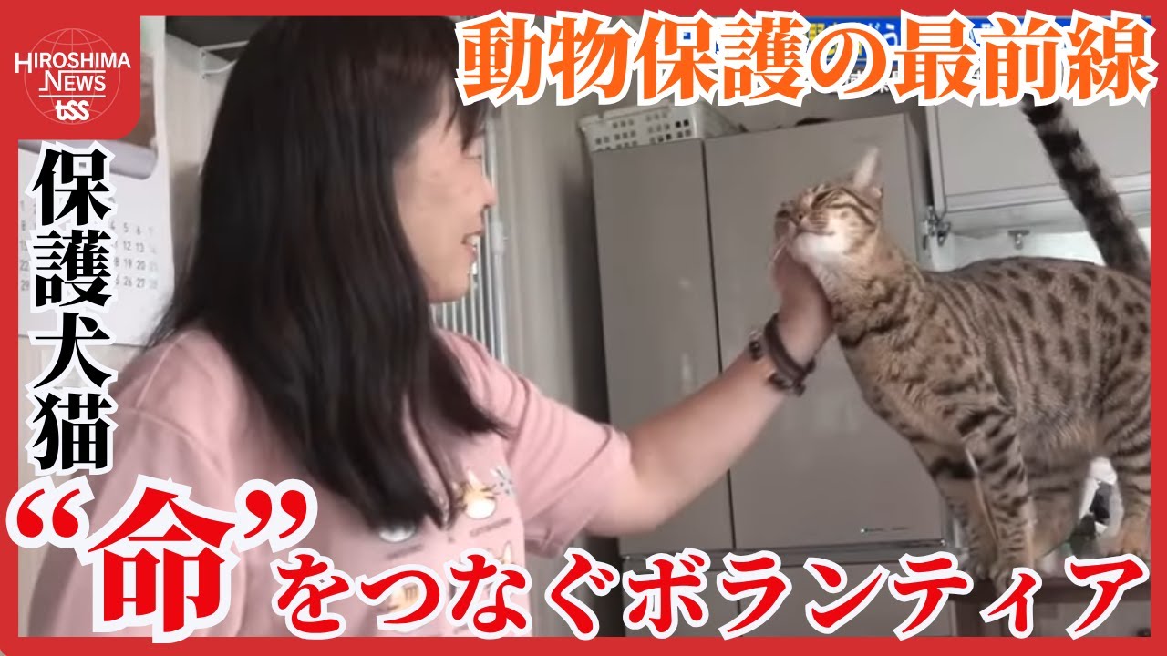 保護犬猫の命をつなぐボランティア　月４０万円の費用は自腹で　動物保護の最前線に密着　広島 (2025/05/28 20:30)