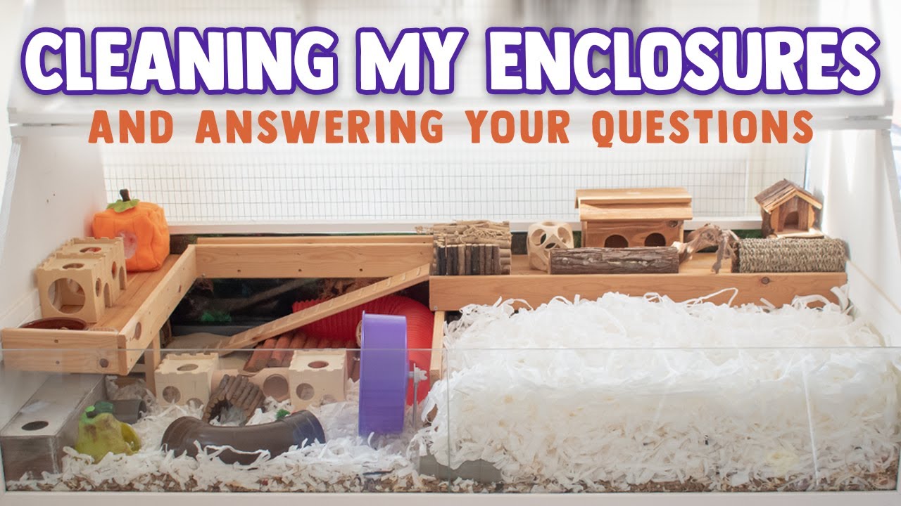 Cleaning BOTH Enclosures & Answering Your Questions!