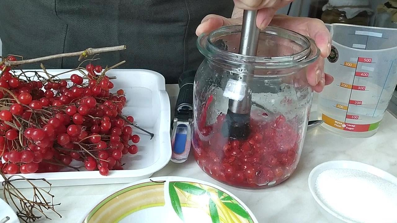Как сделать уксус из калины в домашних условиях? Серия лечебных уксусов.