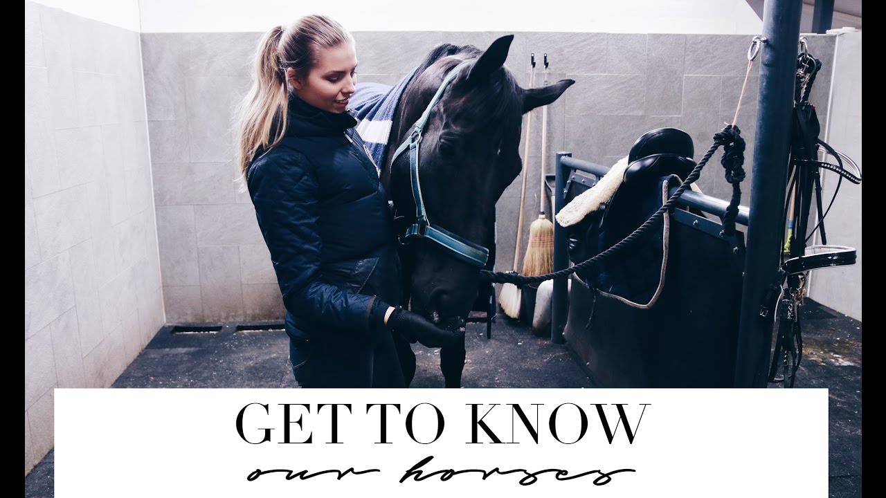 GET TO KNOW OUR HORSES // HEPPAVLOGI