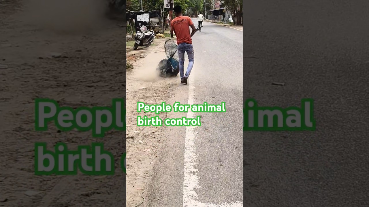 people for animal birth control #dog #animal #rescue #animalrescue #streetdog #viralshort #rescuedog