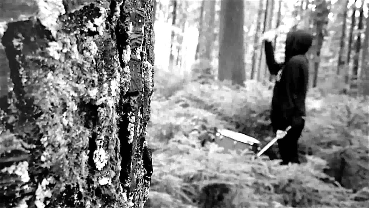 Veil of Light — Pale Eyes