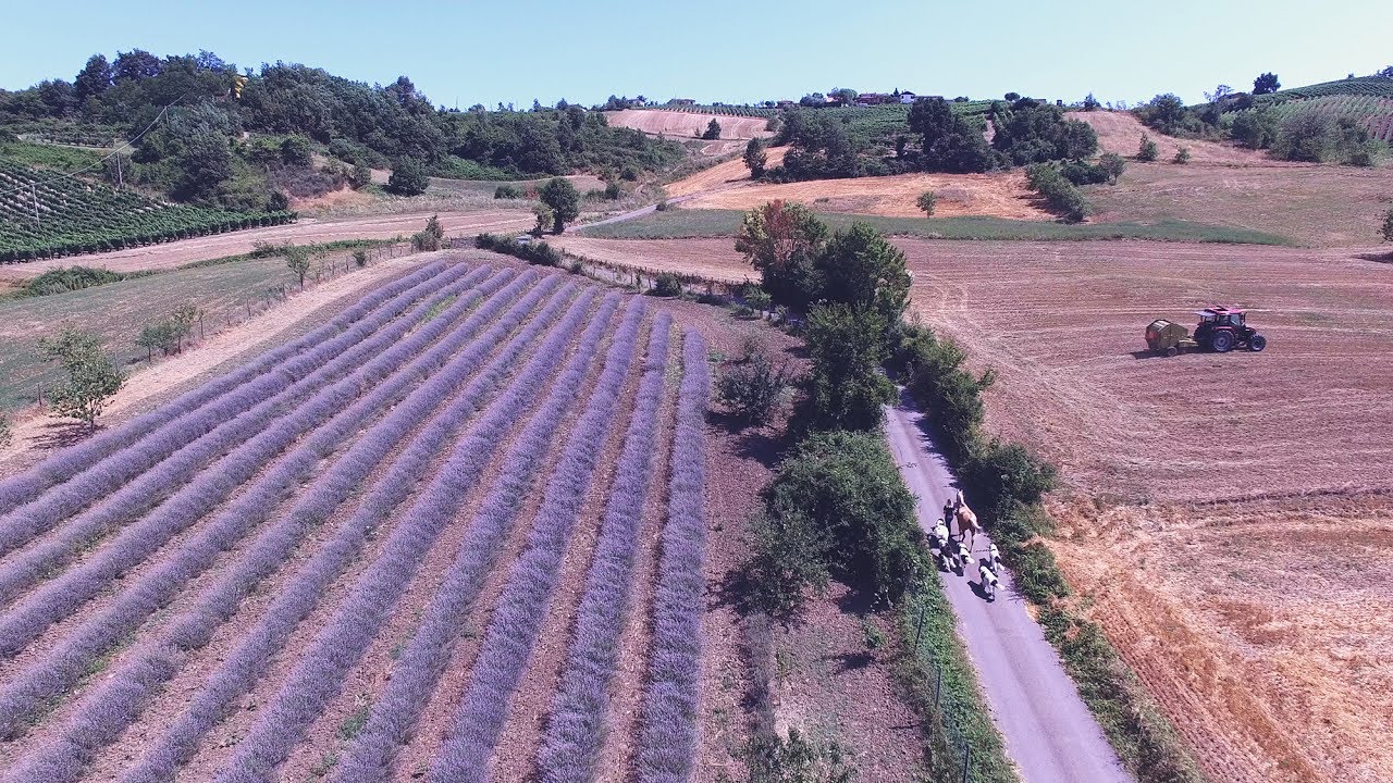 Riprese aeree con drone - Agriturismo Boccapane
