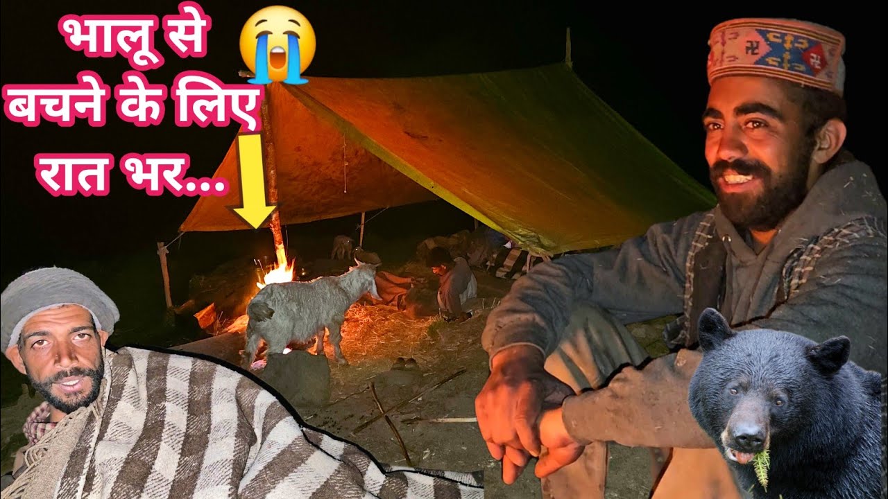 डेरे पर ही क़ब्ज़ा😭😭Night camping with Nomadic Shepherd and Cooking in EXTREME COLD WEATHER.