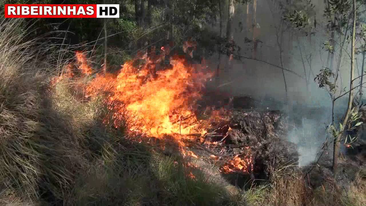 Fogo durou 5 dias na Murtosa e em Estarreja