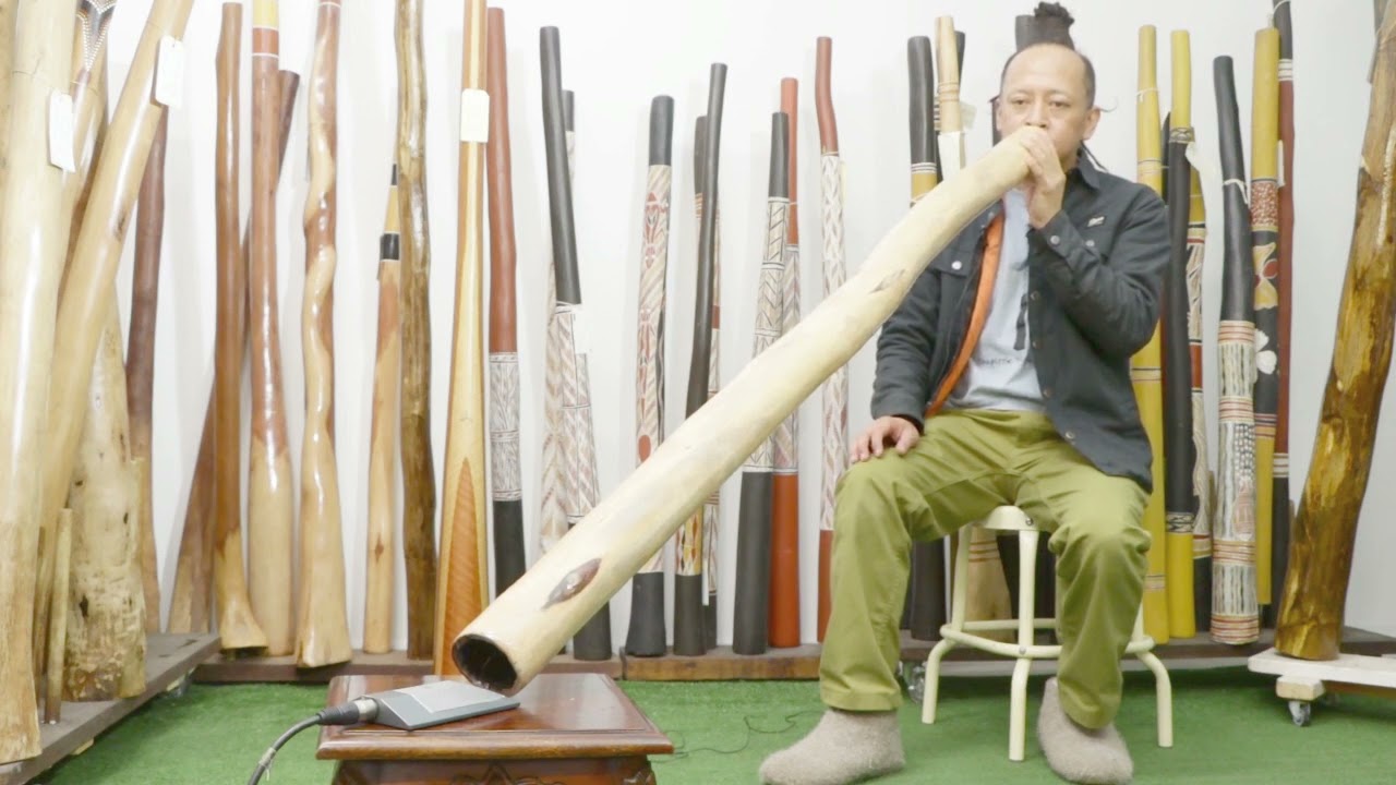 Earl Clements Didgeridoo key of A Webcode 7645