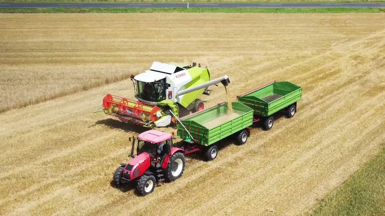 Żniwa Jęczmienia 2024 / Claas Tucano 320