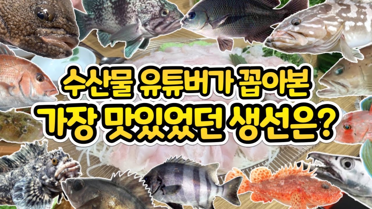 허구한날 시장가서 생선만 먹는 유튜버가 꼽은,가장 맛있었던 생선 BEST