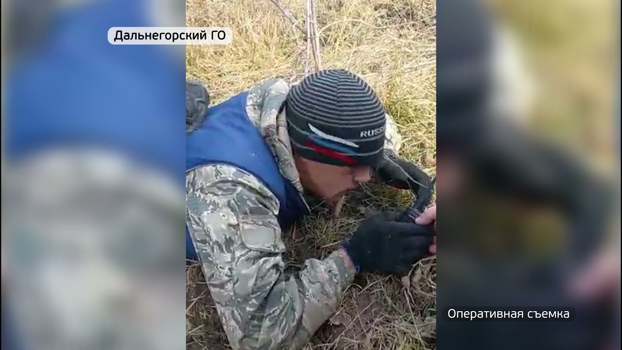 В Спасском районе задержали черных лесорубов