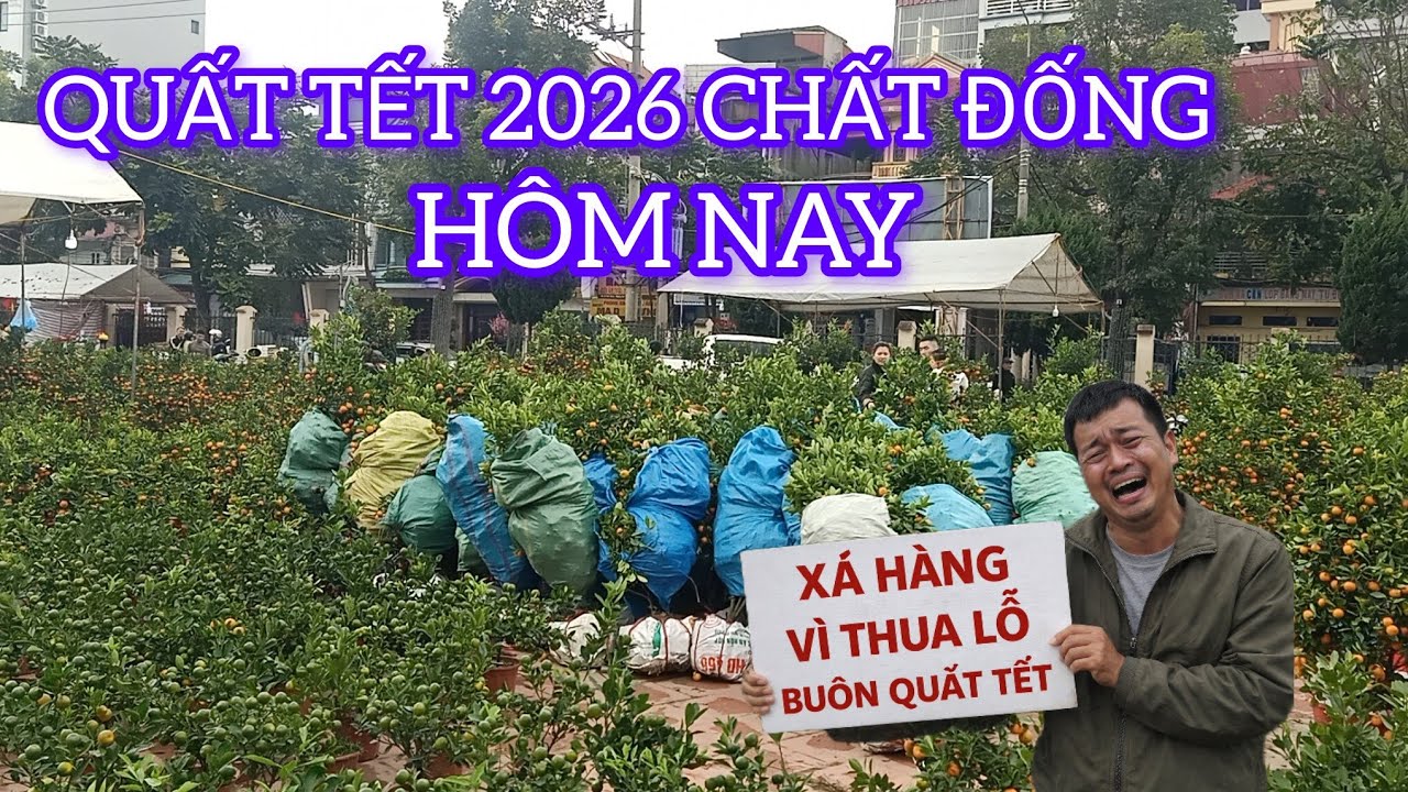 QUẤT TẾT XẢ HÀNG VÌ CHẤT ĐẦY NHƯ NÚI 30 TẾT 
