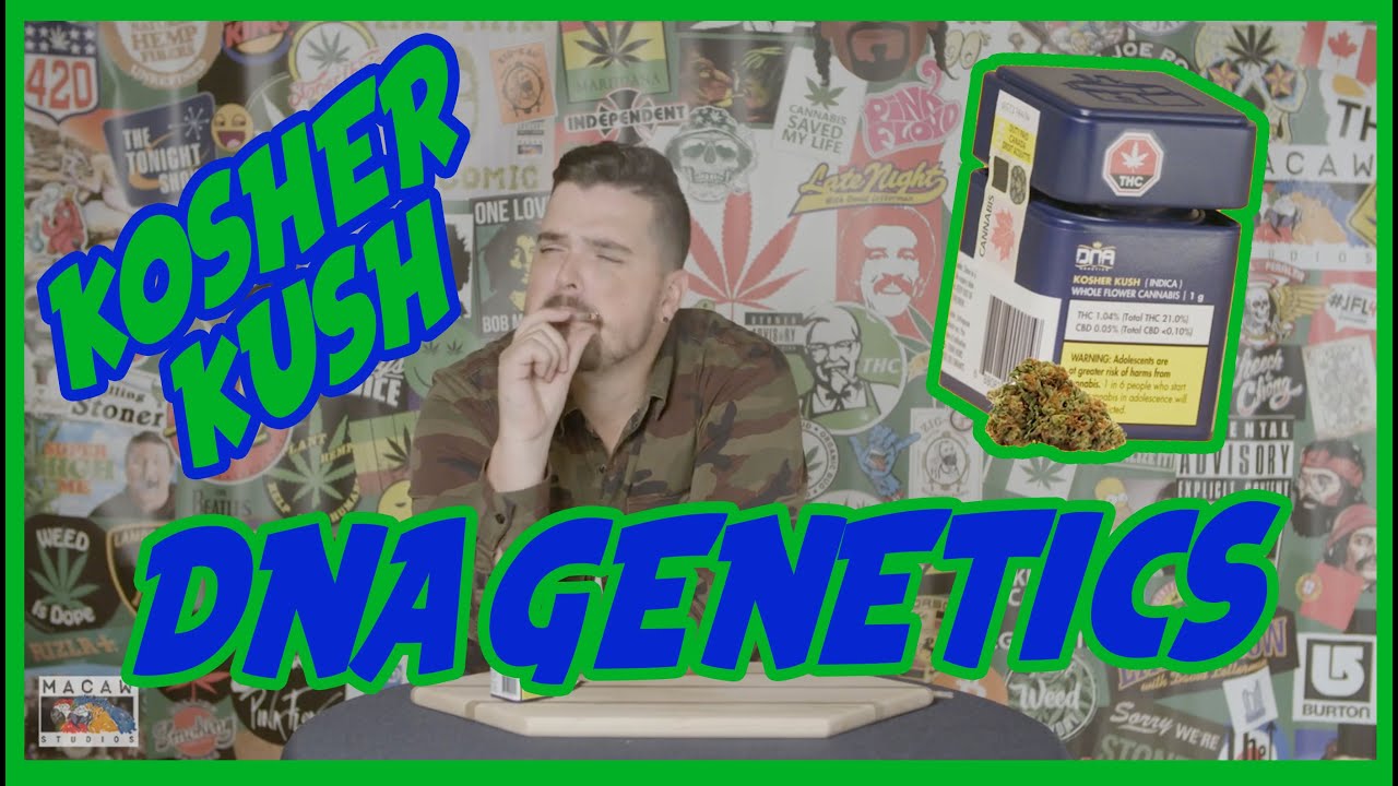 KOSHER KUSH by DNA Genetics - LEGAL WEED REVIEWS with Mike Rita