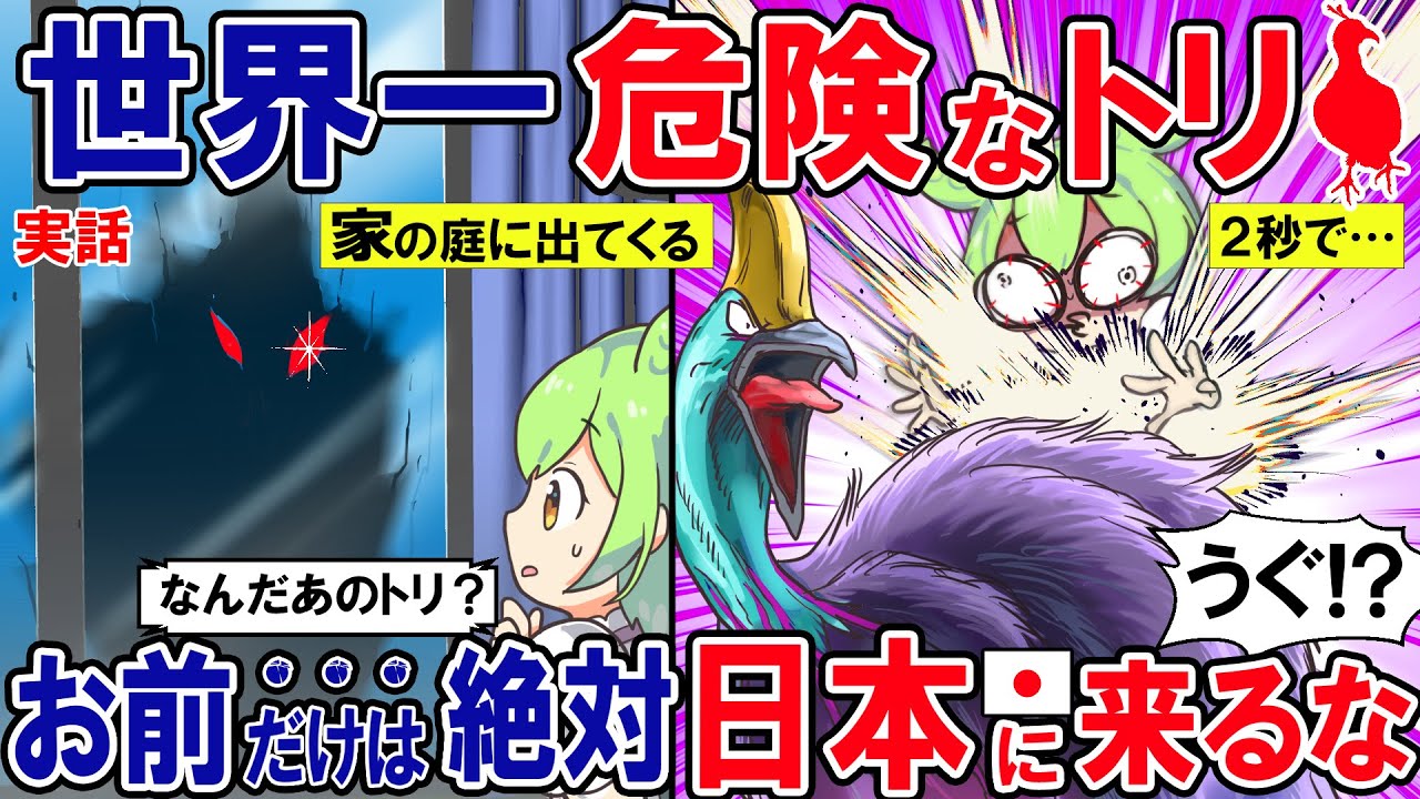 男「所詮は鳥やろ？」→その結果…!? 実は超キケン動物で…日本では…