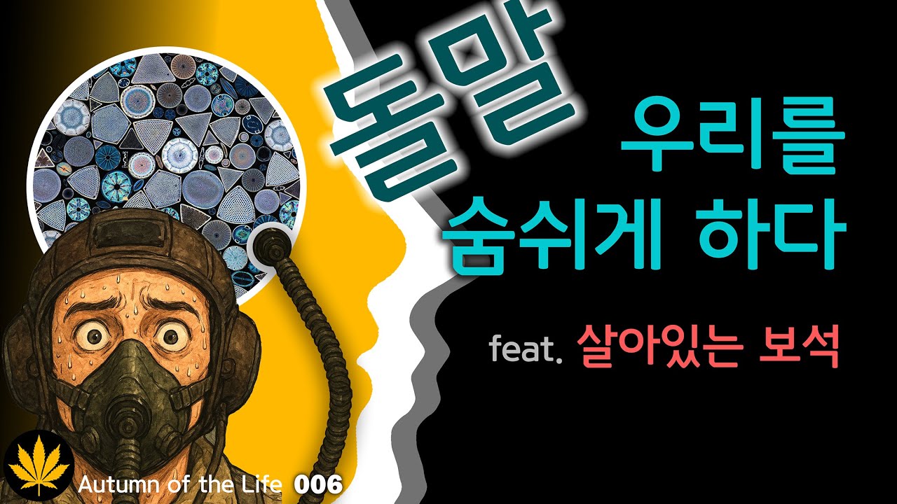 006 - 돌말, 우리를 숨쉬게 하다