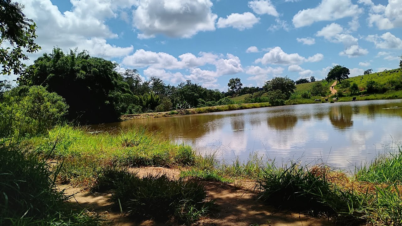Essa lago esconde os grandes bitelo 