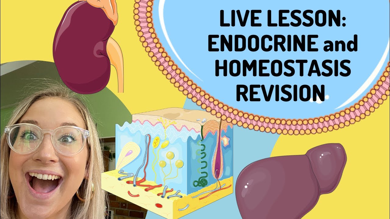 Endocrine and Homeostasis revision |Miss Angler is going live!