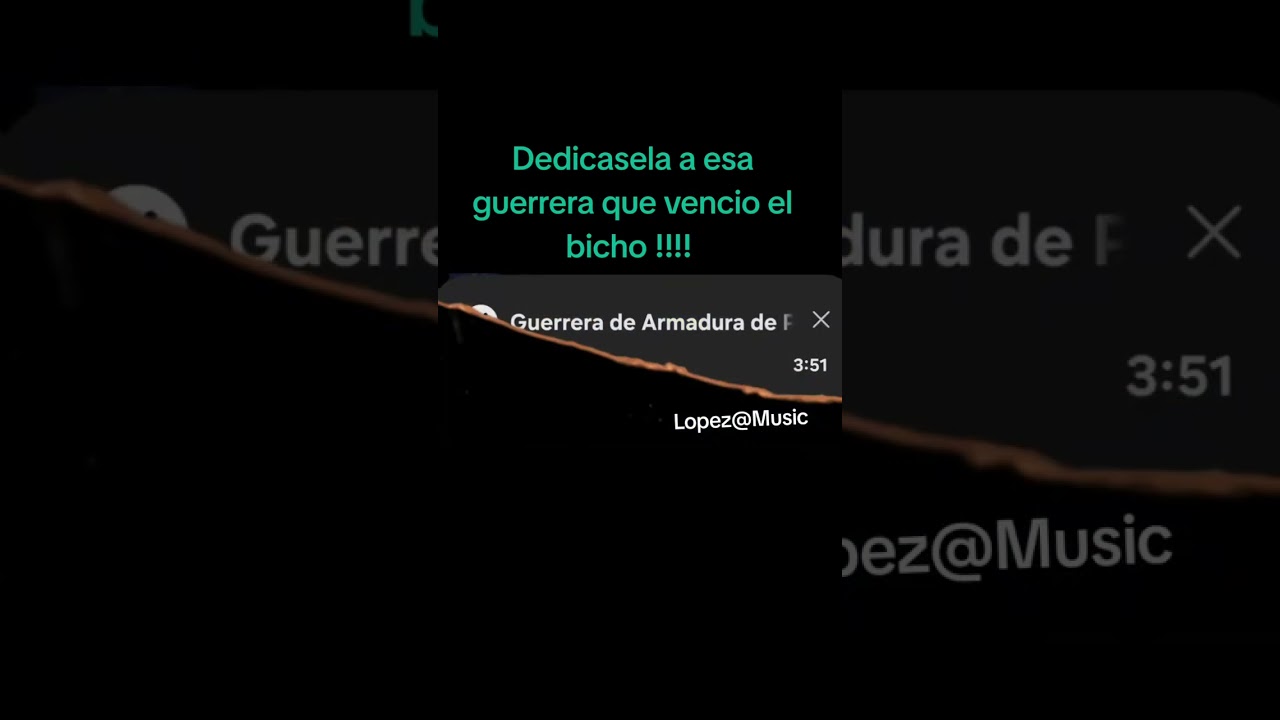 Guerrera de armadura de plata🎶🎶