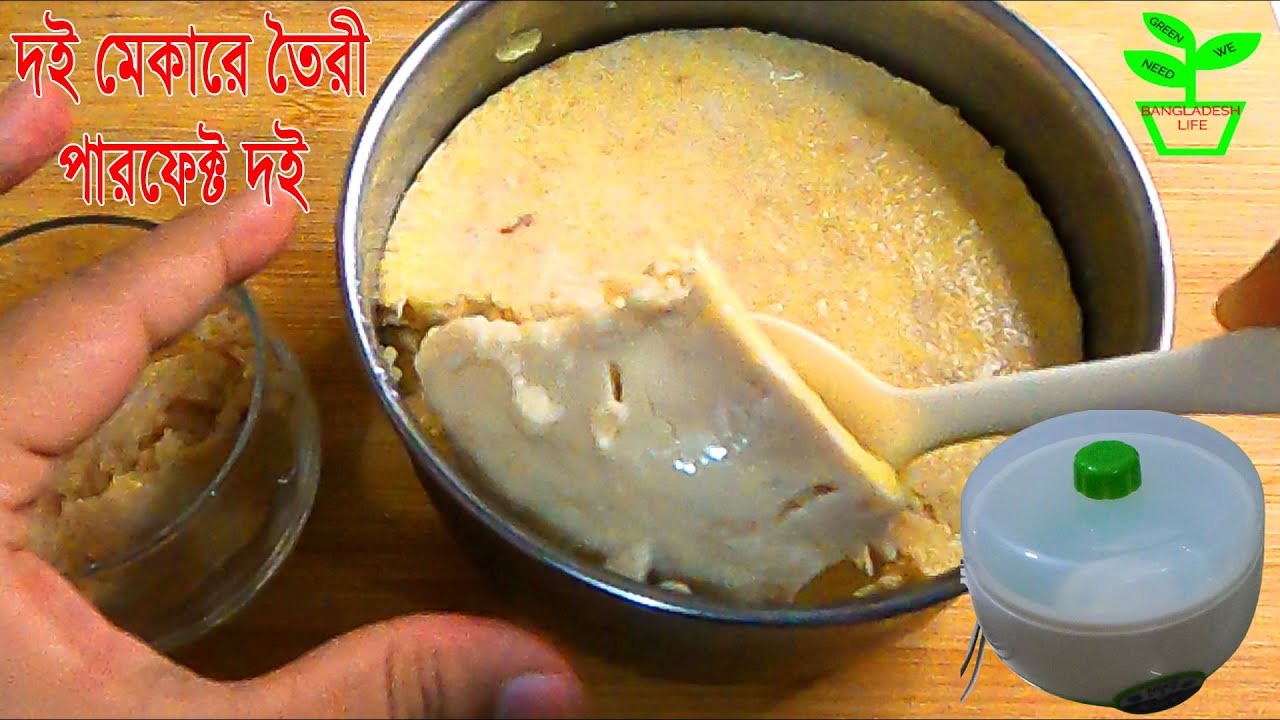 দই মেকারে তৈরী দই টিপস সহ || Perfect Curd electric maker for yogurt